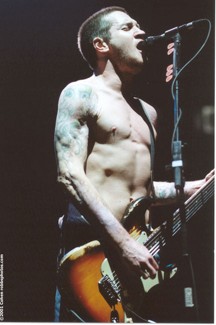John Frusciante unofficial website Invisible Movement this forum is a 